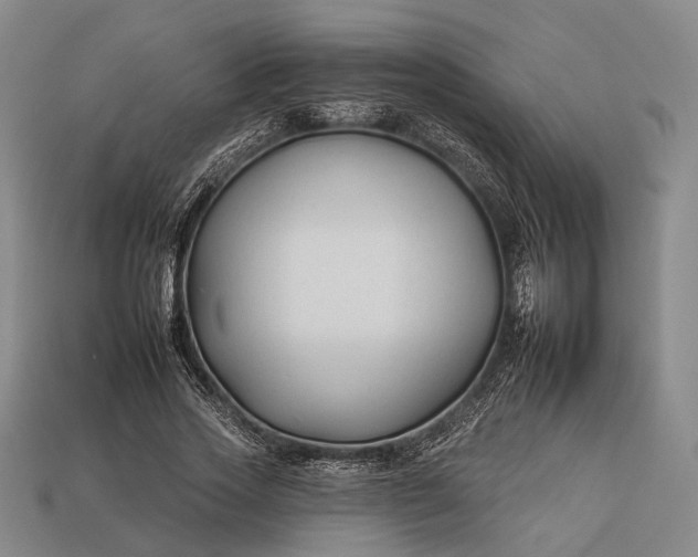 X0000112930733200909071033