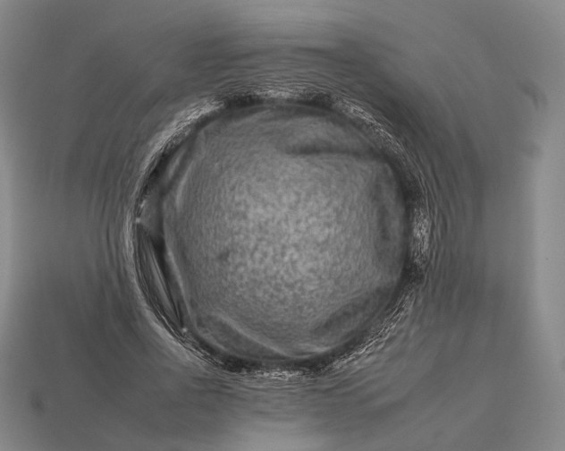 X0000112930734200909071033