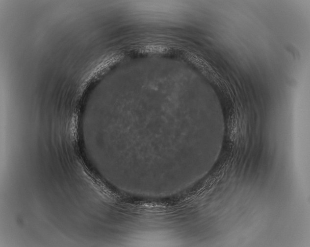 X0000112930735200909071033