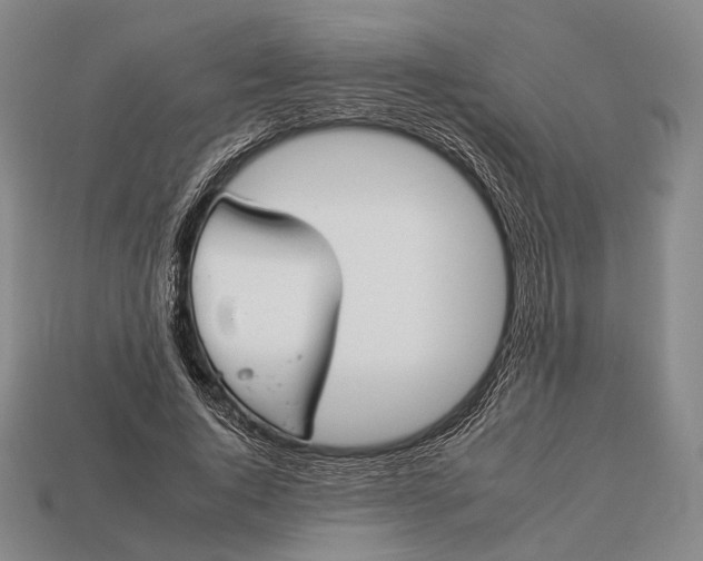 X0000112930736200909071033