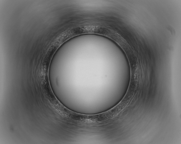 X0000112930737200909071033