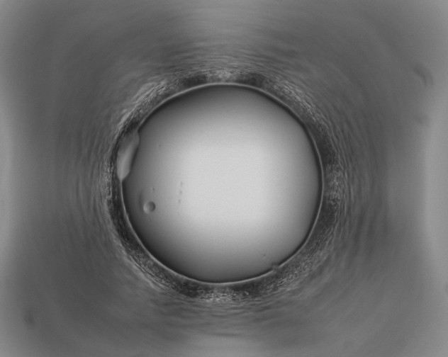 X0000112930738200909071033