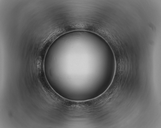 X0000112930739200909071033