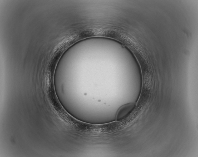 X0000112930740200909071033