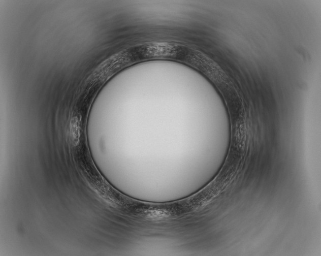 X0000112930741200909071033