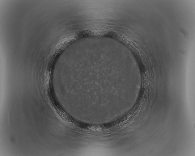 X0000112930742200909071033