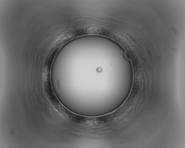 X0000112930744200909071033