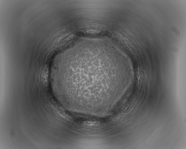 X0000112930745200909071033