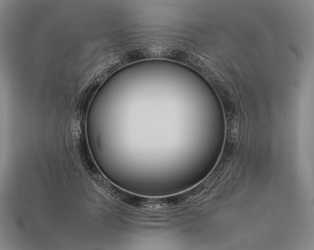 X0000112930746200909071033