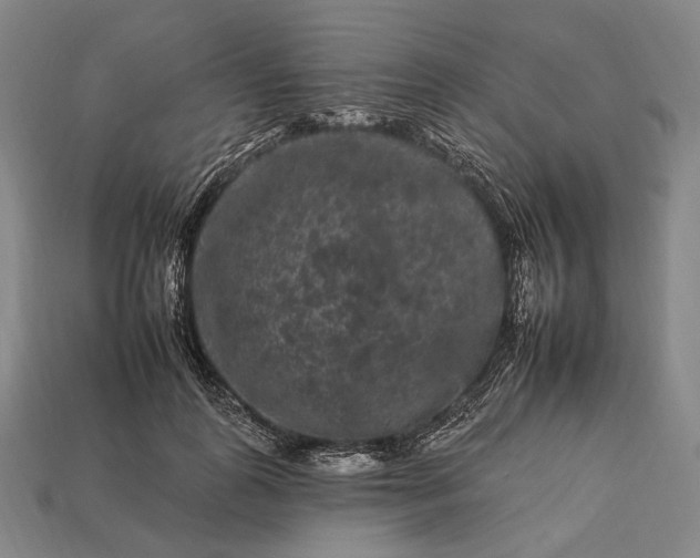 X0000112930747200909071033