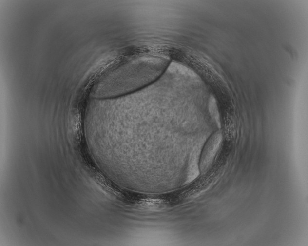 X0000112930748200909071033