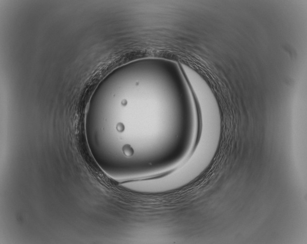 X0000112930750200909071033