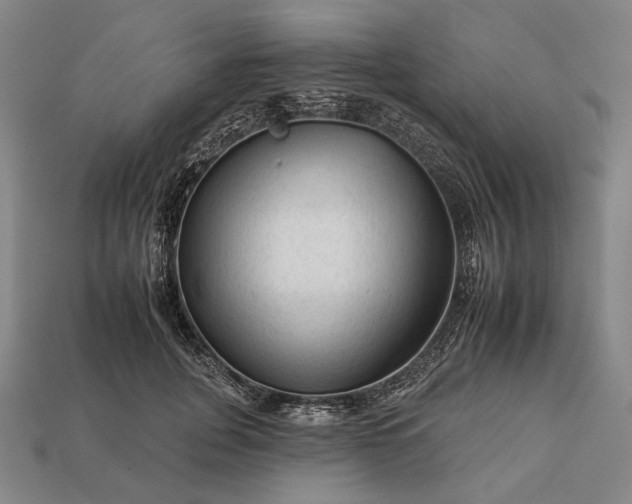 X0000112930751200909071033