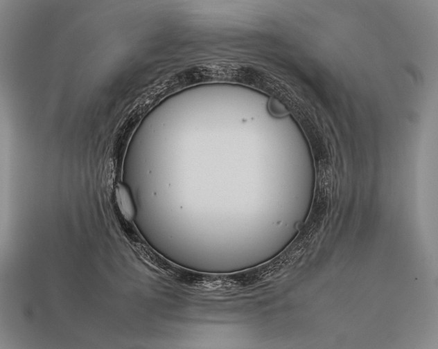 X0000112930752200909071033