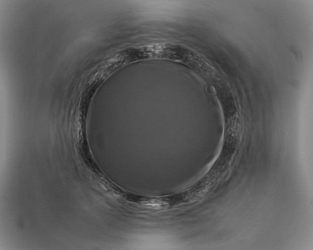 X0000112930754200909071033