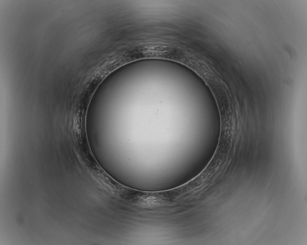 X0000112930755200909071033