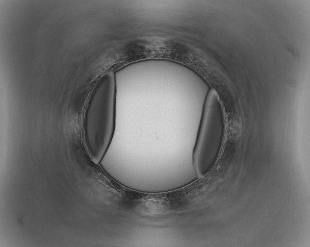 X0000112930756200909071033