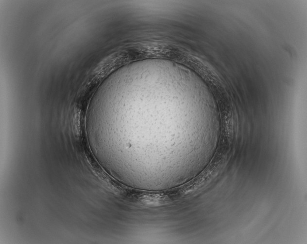 X0000112930757200909071033