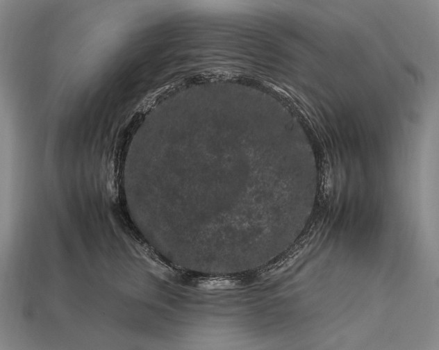 X0000112930759200909071033