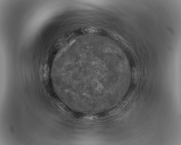 X0000112930760200909071033