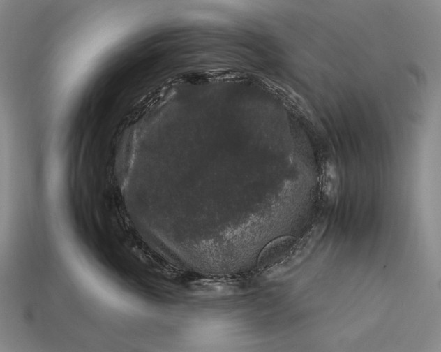 X0000112930763200909071033