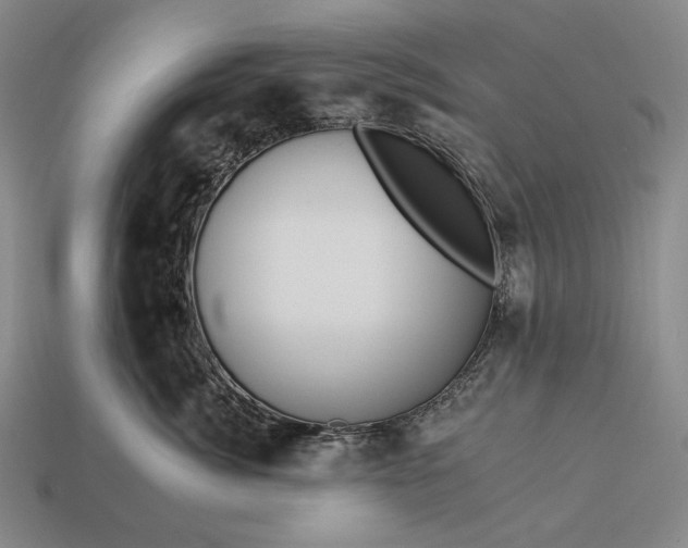 X0000112930764200909071033