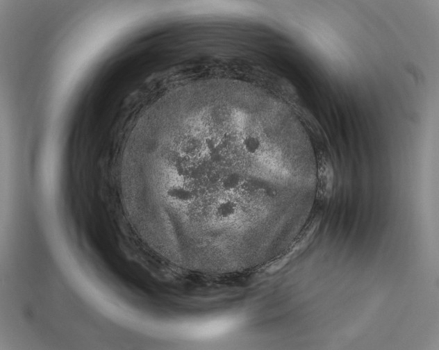 X0000112930765200909071033