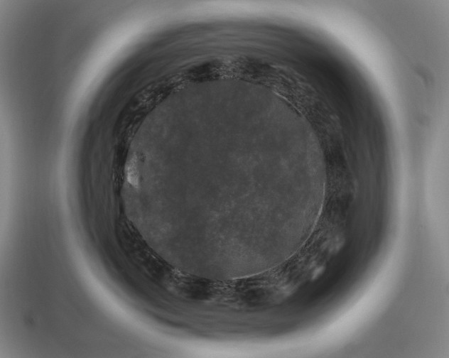 X0000112930766200909071033