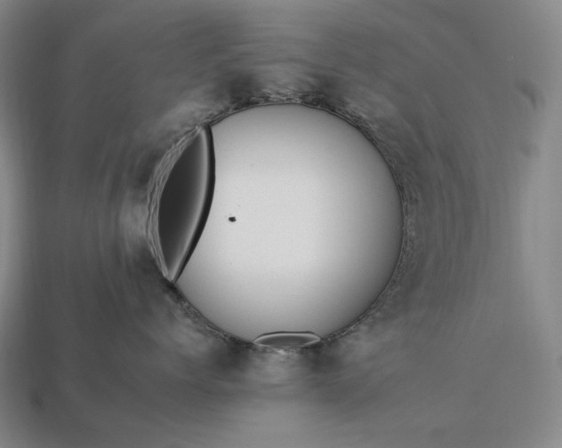 X0000112930768200909071033