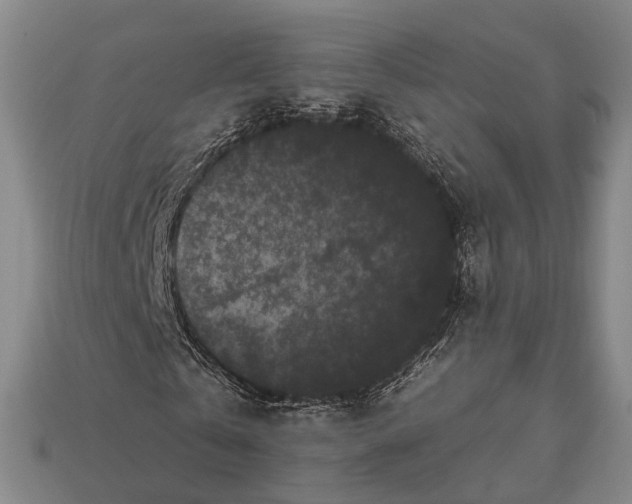 X0000112930769200909071032