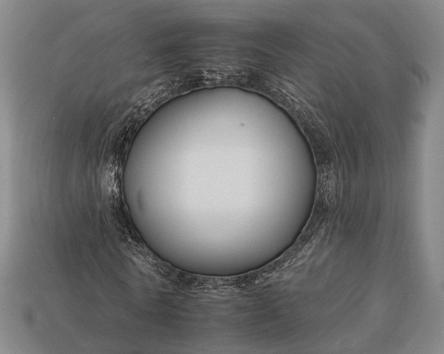 X0000112930770200909071032