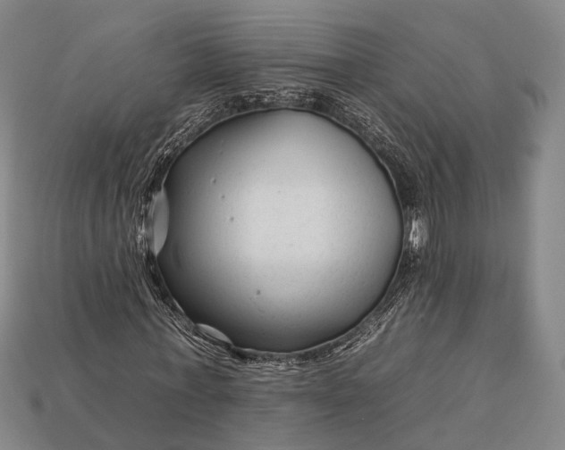 X0000112930771200909071032