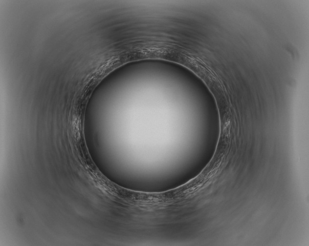 X0000112930772200909071032