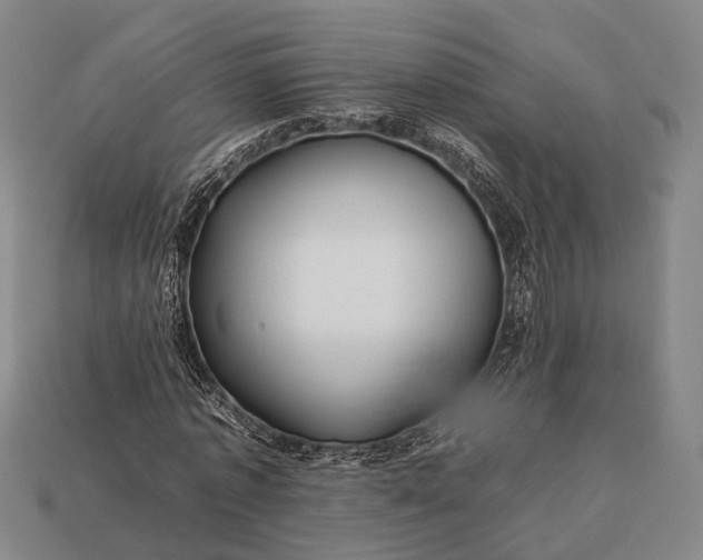 X0000112930773200909071032