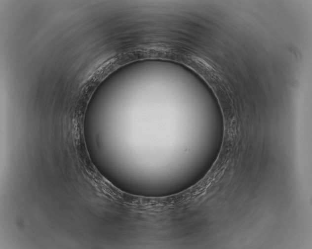 X0000112930774200909071032