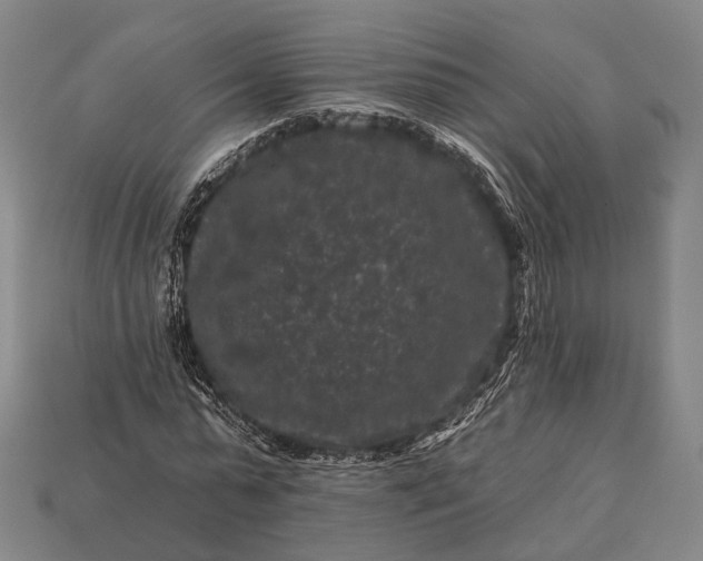 X0000112930775200909071032