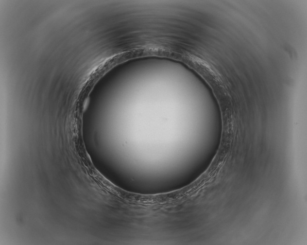 X0000112930776200909071032