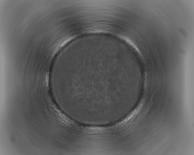 X0000112930777200909071032