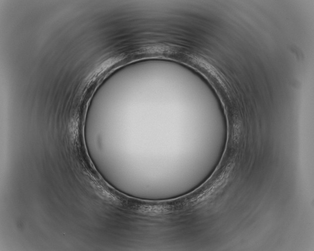 X0000112930778200909071032