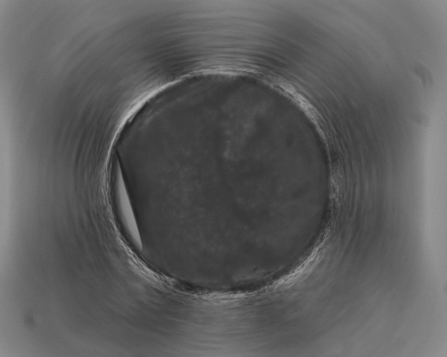 X0000112930779200909071032