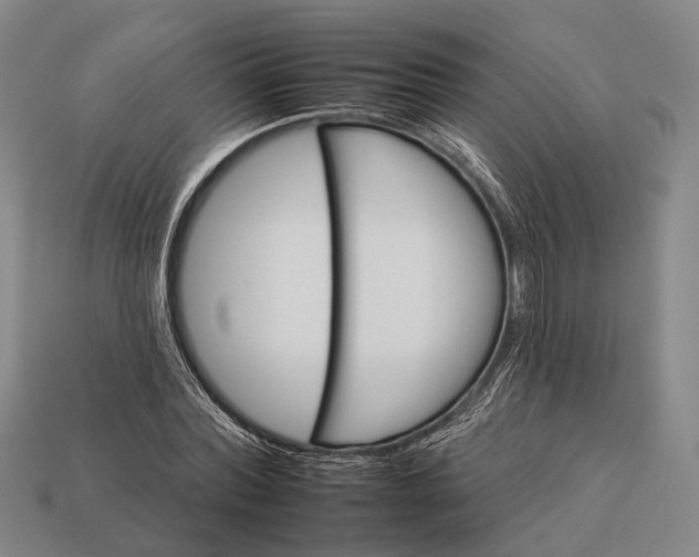 X0000112930780200909071032