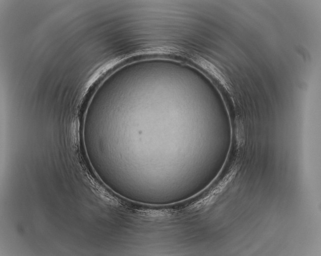 X0000112930781200909071032