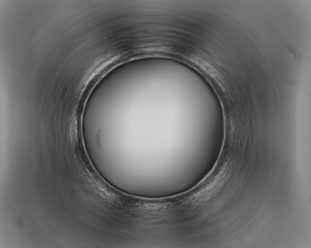 X0000112930782200909071032