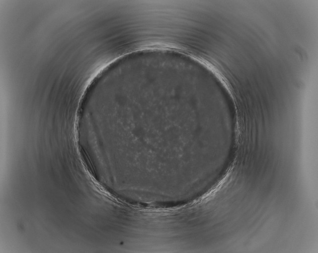 X0000112930783200909071032