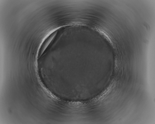 X0000112930784200909071032