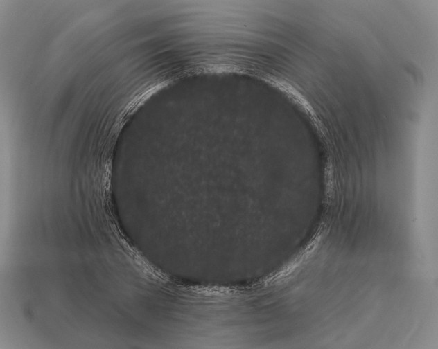 X0000112930785200909071032