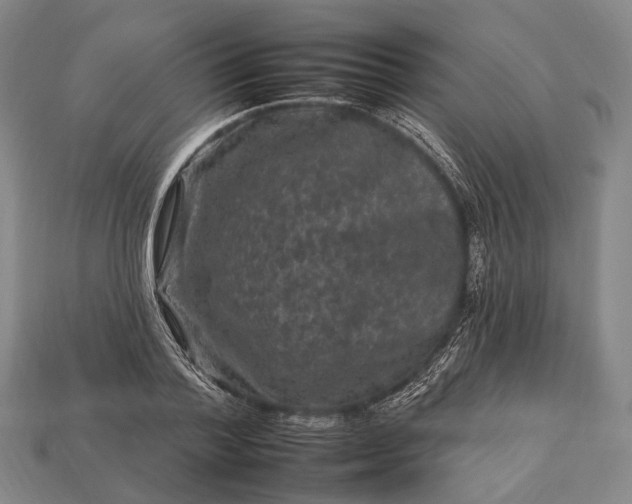 X0000112930788200909071032