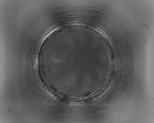 X0000112930790200909071032