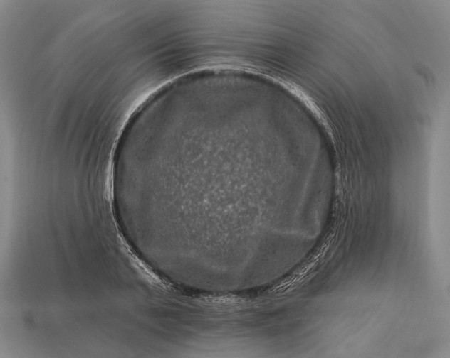 X0000112930791200909071032