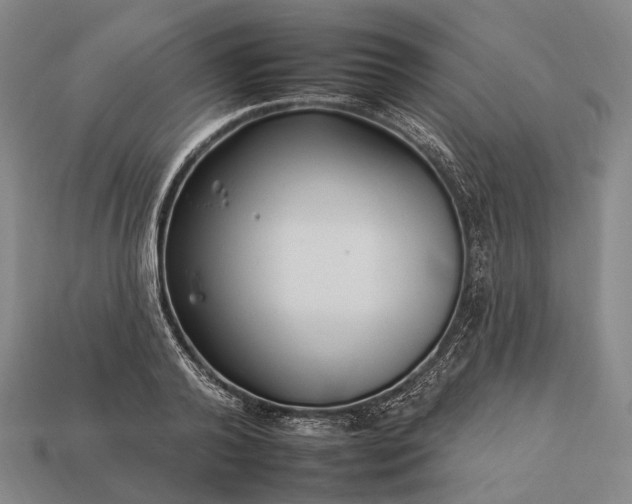 X0000112930792200909071032